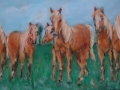 Schilderij op doek, 70 x 30 cm, aan de hand van studies bij de paardenmelkerij in Etten-Leur, lente 2008.